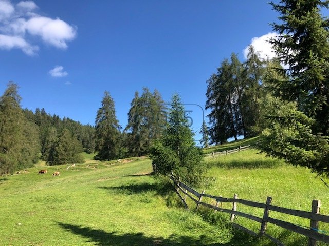 Südtiroler Chalet in Alleinlage in Jenesien - Südtirol