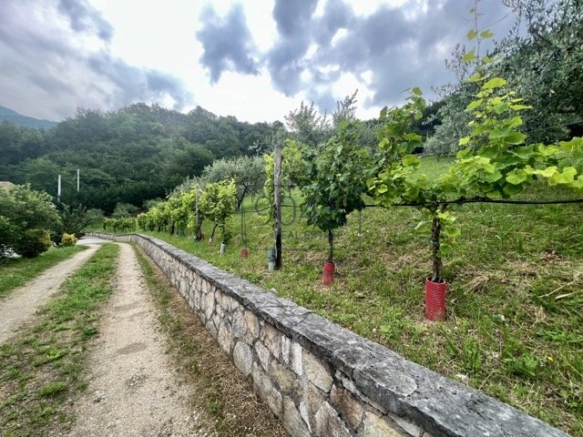 Unikat: Landhaus in biologischer Bauweise im Prosecco-Anbaugebiet in Sarmede - Venetien