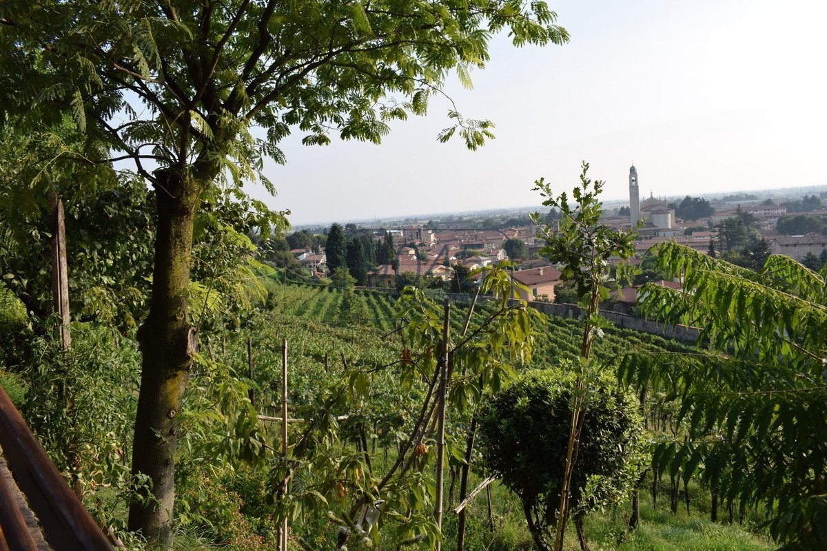 Historische Villa mit kleinem Weingut in erhabener Lage in Coccaglio - Lago d'Iseo