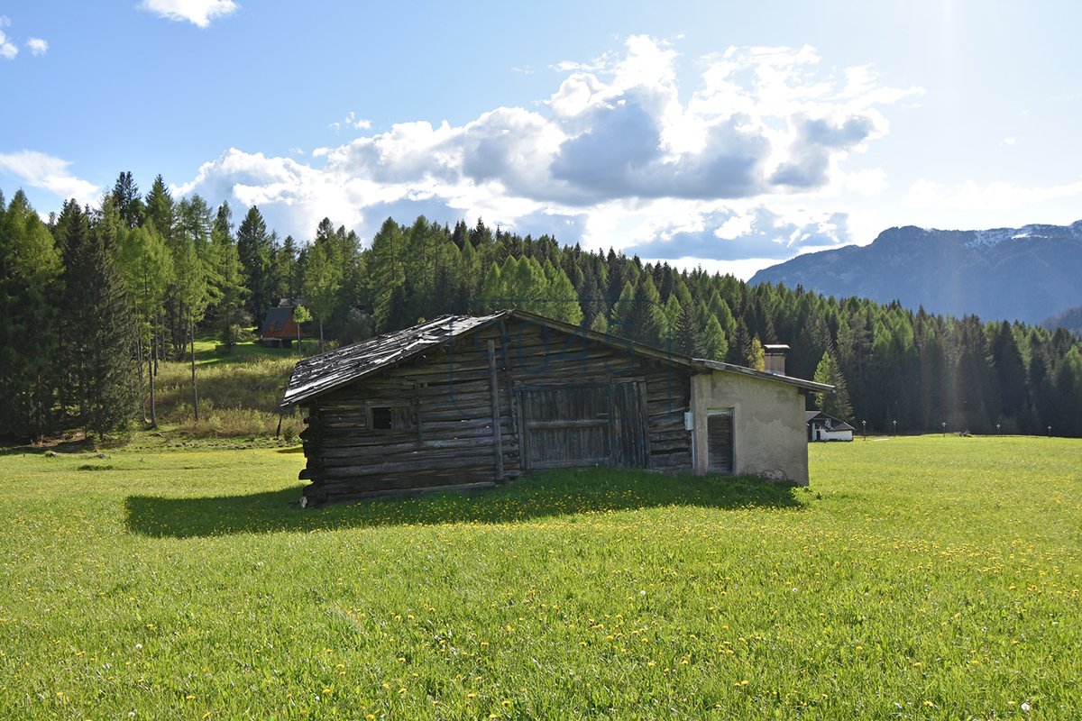 Traditioneller Bauernhof mitten im Grünen zum Ausbauen Bellamonte inmitten der Dolomiten