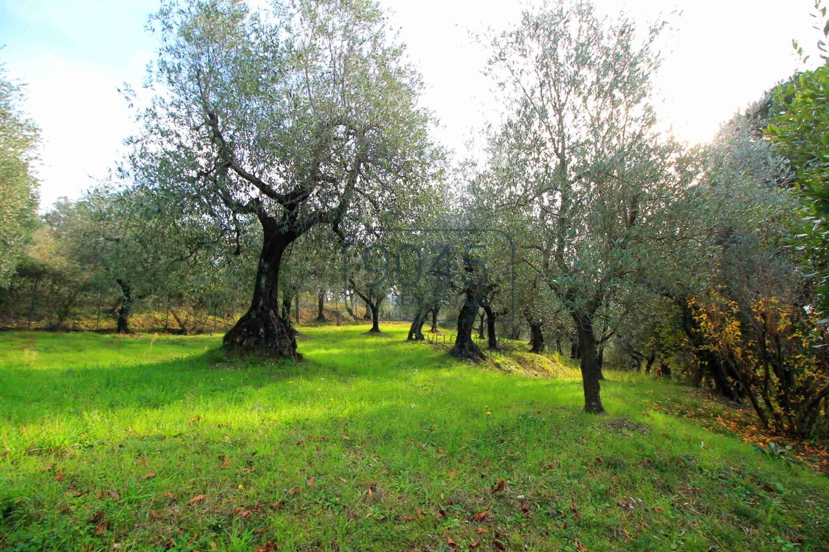 Geräumiges Landhaus in den Hügeln von Larciano - Toscana