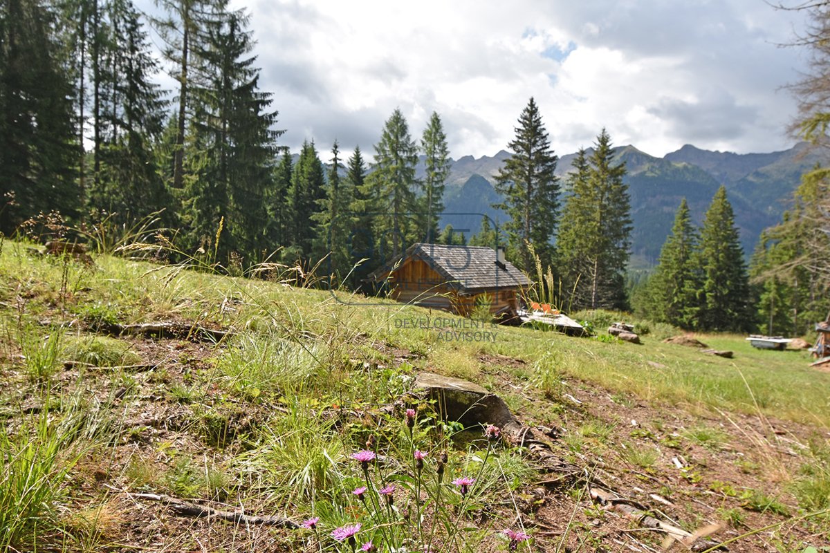 Traumhafter Rückzugsort inmitten der Dolomiten in Predazzo - Trentino / Südtirol