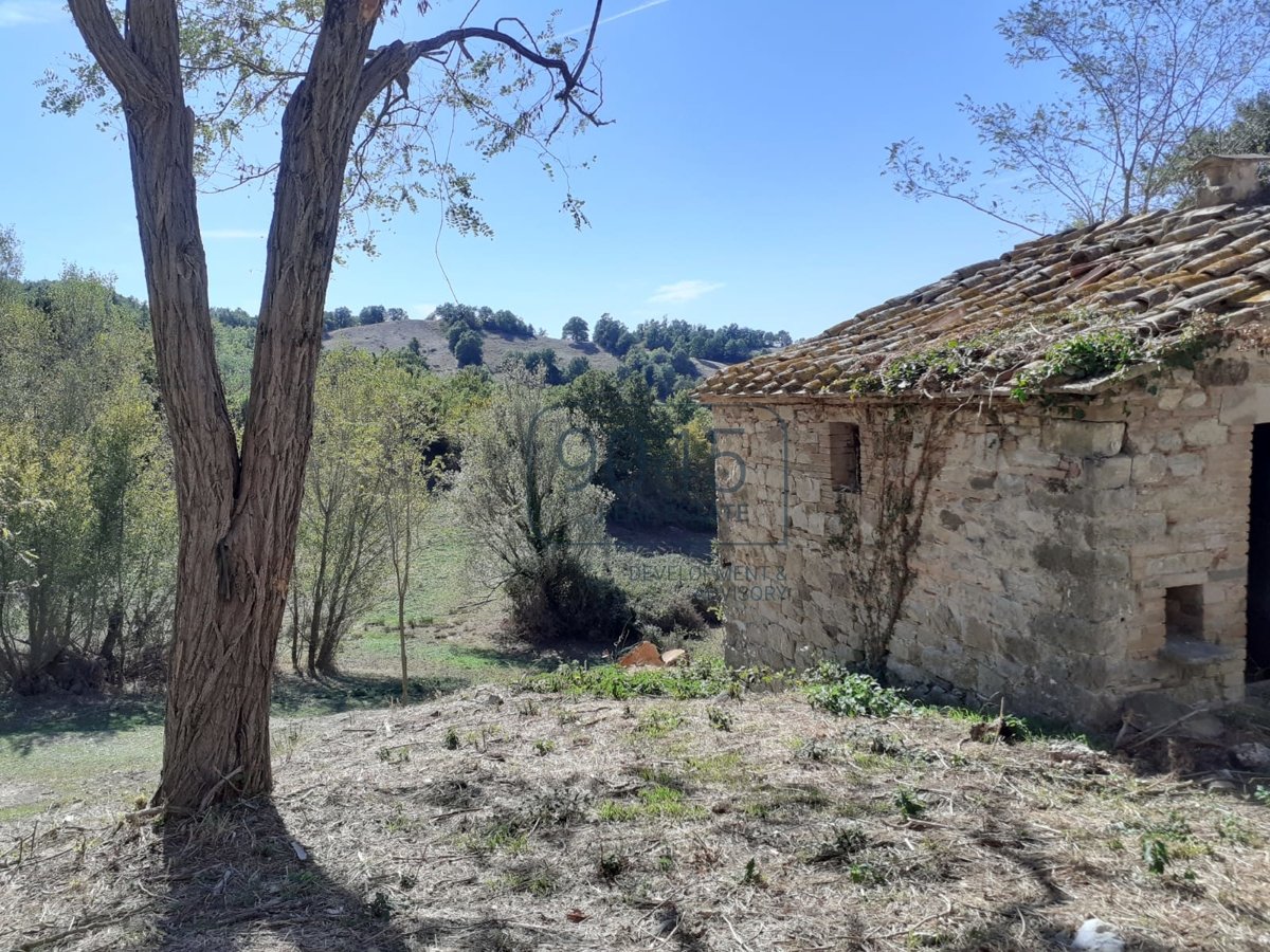 Ihr "Agriturismo" mit Öl- und Weinproduktion am Monte Amiata - Toskana