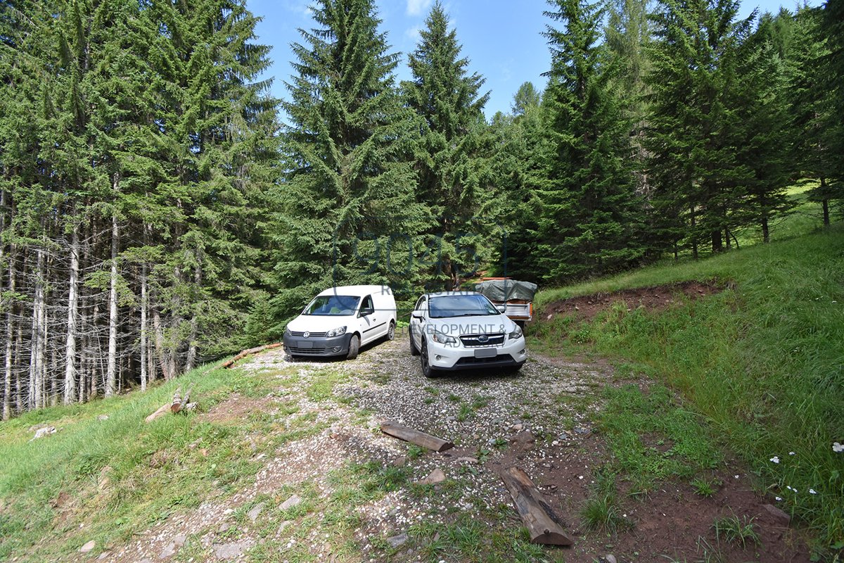 Traumhafter Rückzugsort inmitten der Dolomiten in Predazzo - Trentino / Südtirol