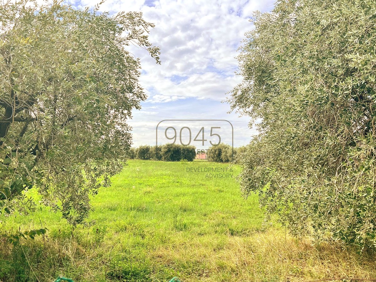 Villa mit Entwicklungspotenzial in Lazise - Gardasee