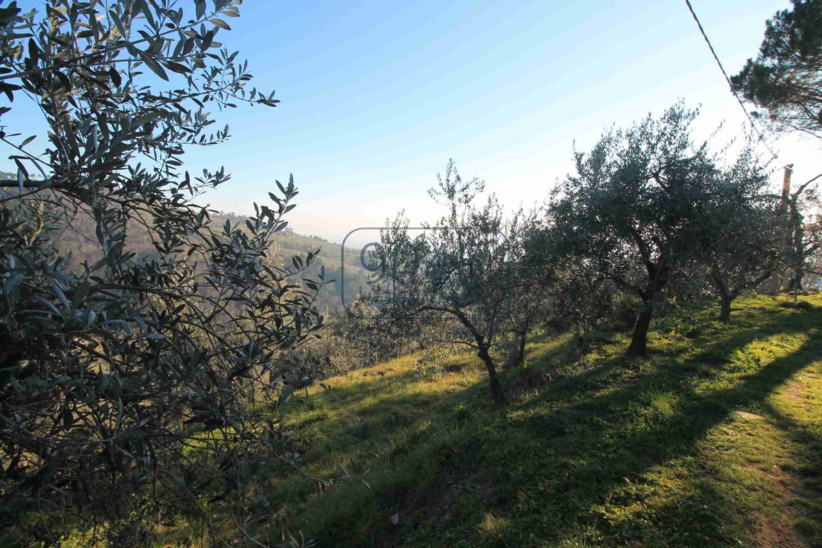 Traditioneller Rustico mit tollem Ausblick in Vinci - Toscana