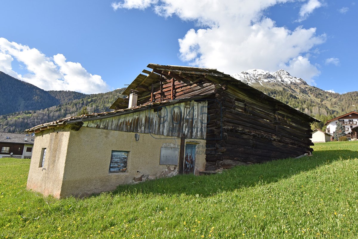 Traditioneller Bauernhof mitten im Grünen zum Ausbauen Bellamonte inmitten der Dolomiten