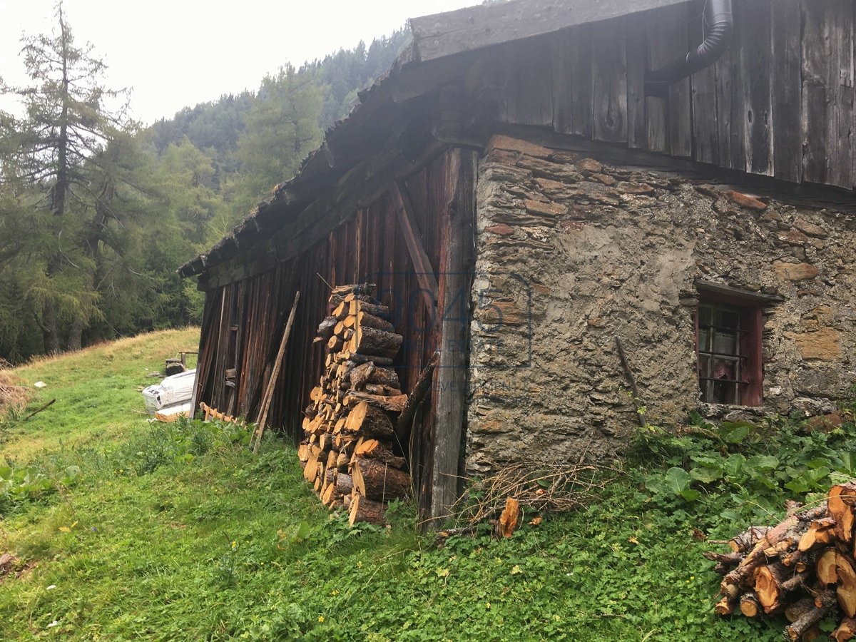 Einzigartig: Alm- und Waldeigentum samt potenzieller Jagdmöglichkeit am Brenner - Südtirol