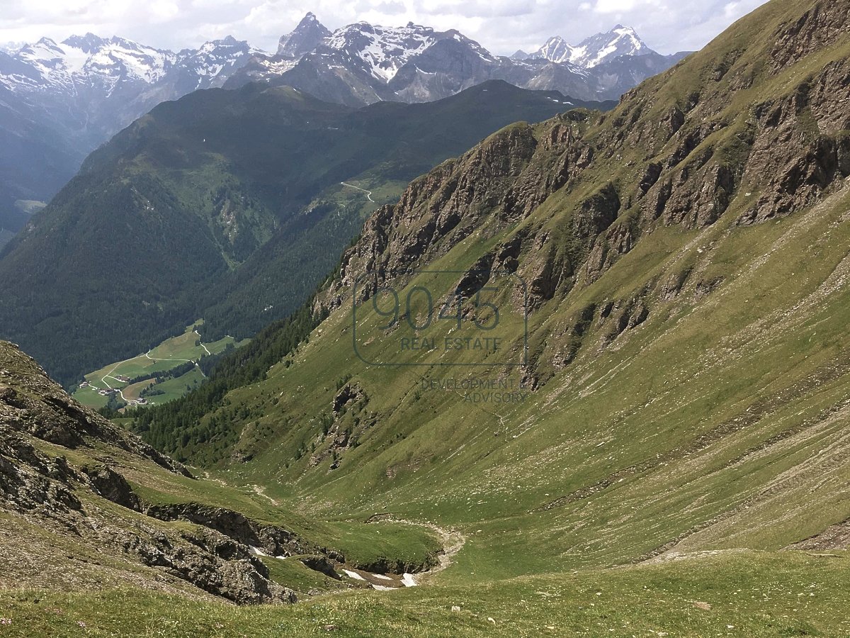 Einzigartig: Alm- und Waldeigentum samt potenzieller Jagdmöglichkeit am Brenner - Südtirol