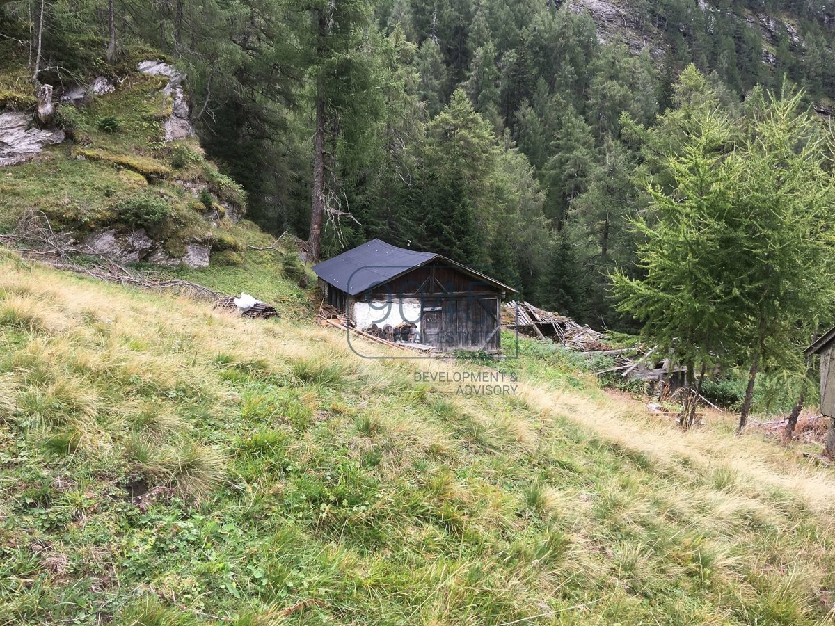 Einzigartig: Alm- und Waldeigentum samt potenzieller Jagdmöglichkeit am Brenner - Südtirol