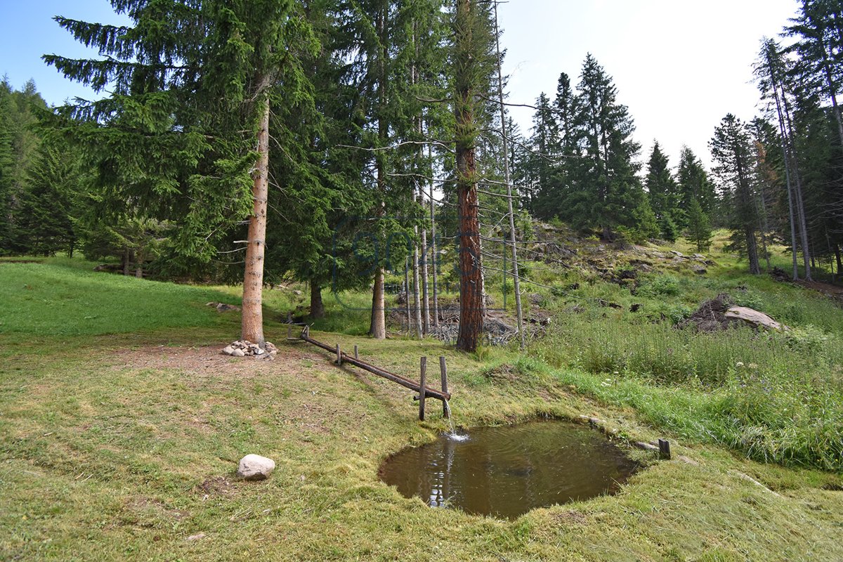 Traumhafter Rückzugsort inmitten der Dolomiten in Predazzo - Trentino / Südtirol