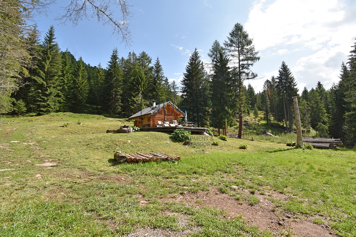 Traumhafter Rückzugsort inmitten der Dolomiten in Predazzo - Trentino / Südtirol